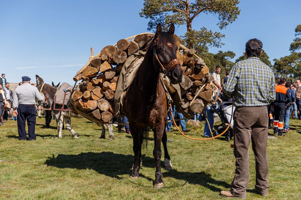 La Fiesta de los Gabarreros celebra del 13 al 22 de marzo su vigesimoséptima edición en El Espinar