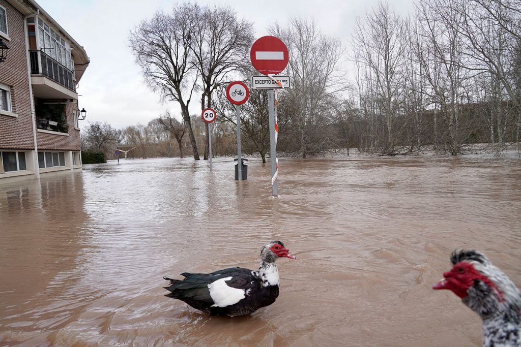El Duero se filtra en Tudela
