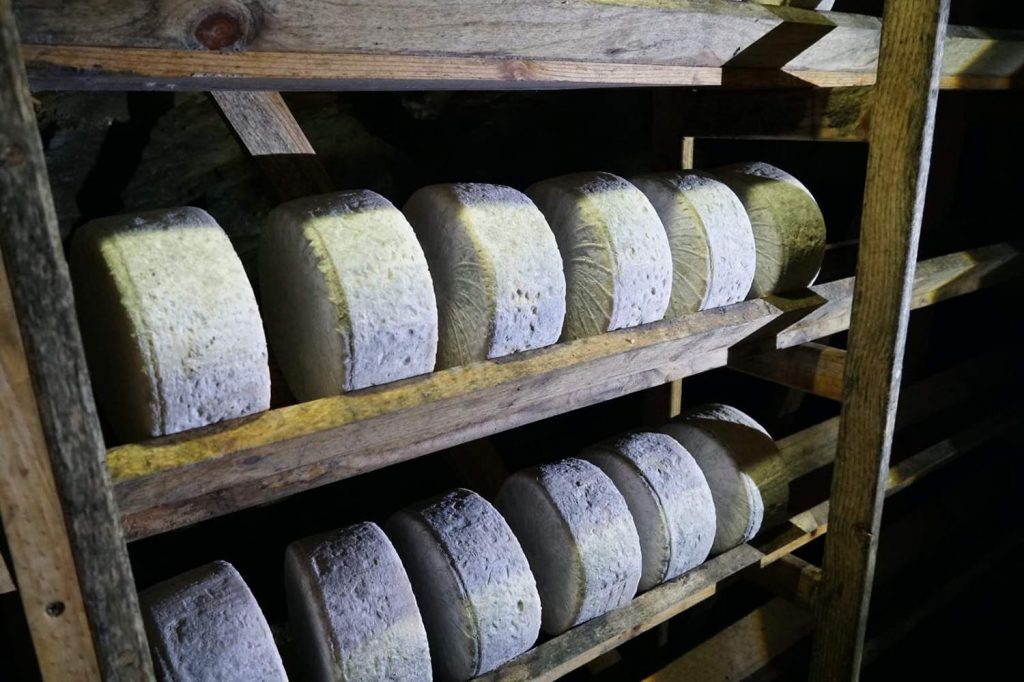 Valladolid se convierte en capital mundial del queso con la celebración de la Guilde Internationale des Fromagers