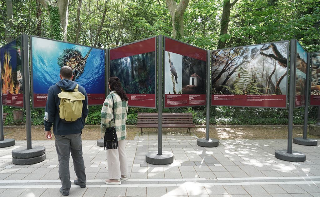 Una exposición acerca la biodiversidad de España a la ciudadanía en el Campo Grande de Valladolid