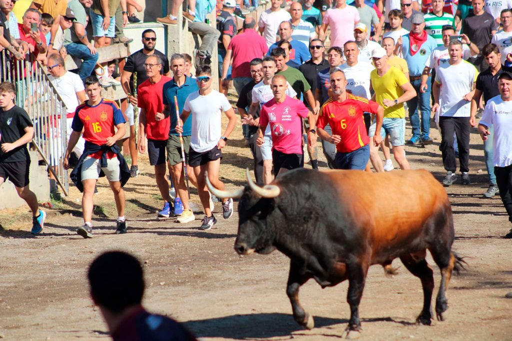‘Campanito’ protagoniza un Toro de la Vega rápido y sin incidentes con una enorme afluencia en Tordesillas