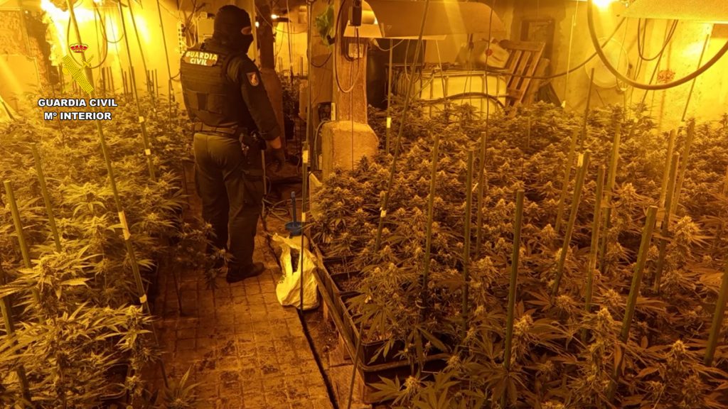 Desarticulada una macroplantación ‘indoor’ de marihuana en el Valle de Mena (Burgos)